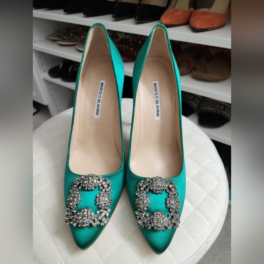 - Manolo Blahnik Hangisi Shoes,  size 39
